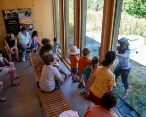 Kids watching the bee hive inspection