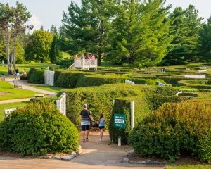 People entering the maze garden